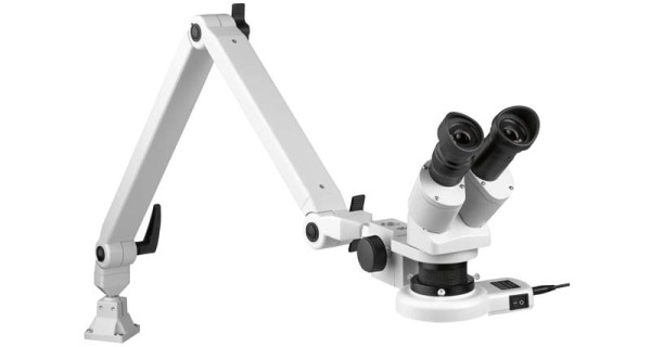 Auflicht-Stereo-Mikroskop