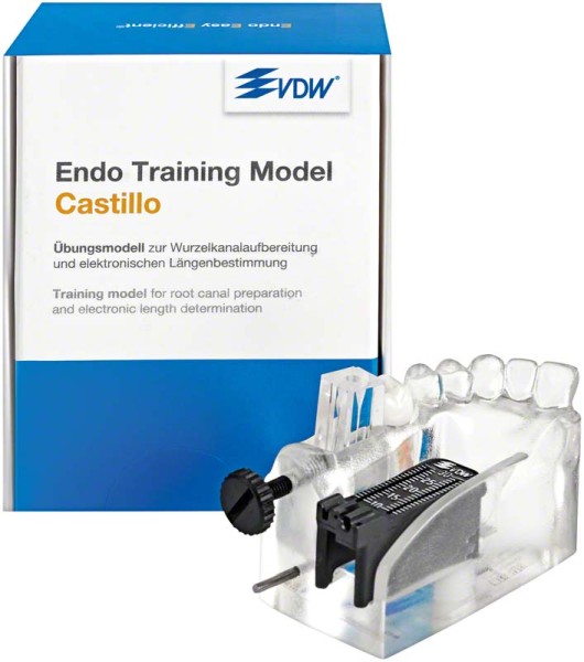 Endo Training Model Castillo